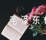 读《毛泽东传》有感范文(精选3篇)