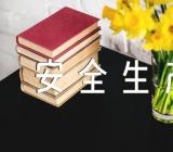 元旦春节安全生产方案【汇编三篇】
