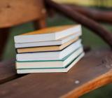 安全教育和文明礼仪演讲稿