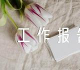 上海银行半年报银行工作报告精选四篇