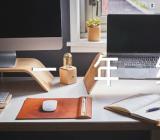 小学语文教案一年级优秀范文(精选7篇)