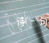 母亲的散文诗句范文汇总四篇