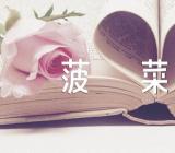 山东地区立冬可以种菠菜吗