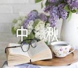 中秋节作文结尾范文四篇