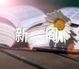 新同学写人作文汇编6篇