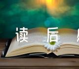 说不尽的长征故事读后感(锦集3篇)
