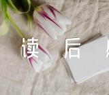 南征北战读后感精选五篇