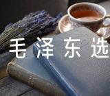 毛泽东选集阅读报告范文(精选3篇)
