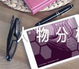 红楼梦人物分析作文800字汇编6篇