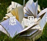 感恩节的感想有哪些范文汇总七篇