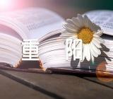 2023年重阳节敬老慰问词优质范文六篇