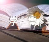 学雷锋心得范文(精选8篇)