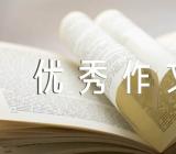 七夕情人节优秀作文600字(锦集4篇)