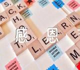 感恩节的话语感恩话语简短【4篇】