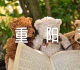 幼儿特色重阳节活动方案范文(通用4篇)