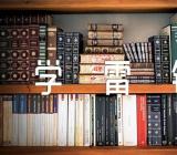 学雷锋志愿个人事迹作文1100字三篇