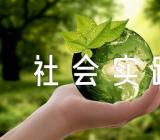 文秘社会实践报告(锦集3篇)