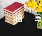 曲阜孔庙导游词曲阜孔庙导游词介绍优质精选5篇