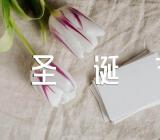 幼儿园圣诞节活动方案【五篇】