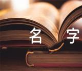 男甲辰龙年起名字【汇编二篇】