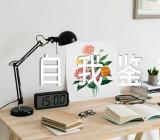 幼儿教师自我鉴定总结范文六篇