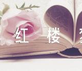 红楼梦的高考作文范文(通用6篇)