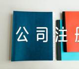 上海公司注册服务方案下载项目服务方案【4篇】