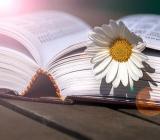 2024年西藏注册会计师报名时间预计在4月份【热】