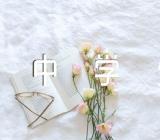 初中学生综合素质自我评价江西省初中学生综合素质自我评价优秀精选4篇