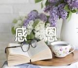 感恩节节日活动习俗三篇