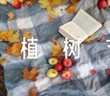 读书活动创意方案植树节的活动方案(锦集4篇)