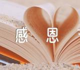 感恩节节日活动习俗(通用2篇)