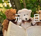 作文元旦节300字范文(精选六篇)