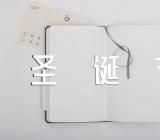 圣诞节火爆语录127句精选5篇