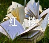 红楼梦人物评价(锦集5篇)