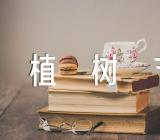 植树节新颖策划方案精选三篇