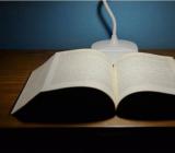 三八妇女节搞笑句子【热】