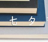 七夕节优秀小学作文四篇