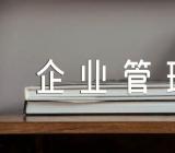 2022年企业管理方案汇编4篇