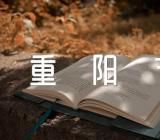 重阳节敬老作文范文汇总三篇