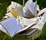 冬景小学作文(锦集3篇)