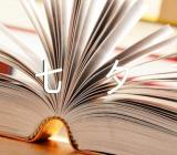 描写七夕节节日作文(锦集4篇)