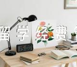 2022年《出国留学经费管理办法》全文精选二篇