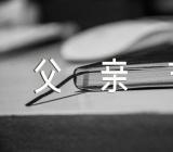 小班父亲节活动总结【六篇】