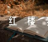 红楼梦的心得600字左右锦集七篇