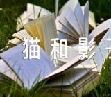 寓言故事《猫和影子》【6篇】