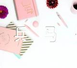 秦始皇兵马俑导游词实用六篇