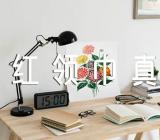 《“红领巾”真好》评课稿范文汇总四篇