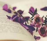 2024年河北一级建造师报名时间6-7月【精选】