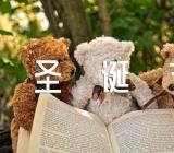 2023圣诞节晚会主持稿锦集五篇